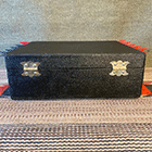 Refurbished RenuLIfe Model 2 for sale