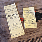 Refurbished RenuLIfe Model 2 for sale